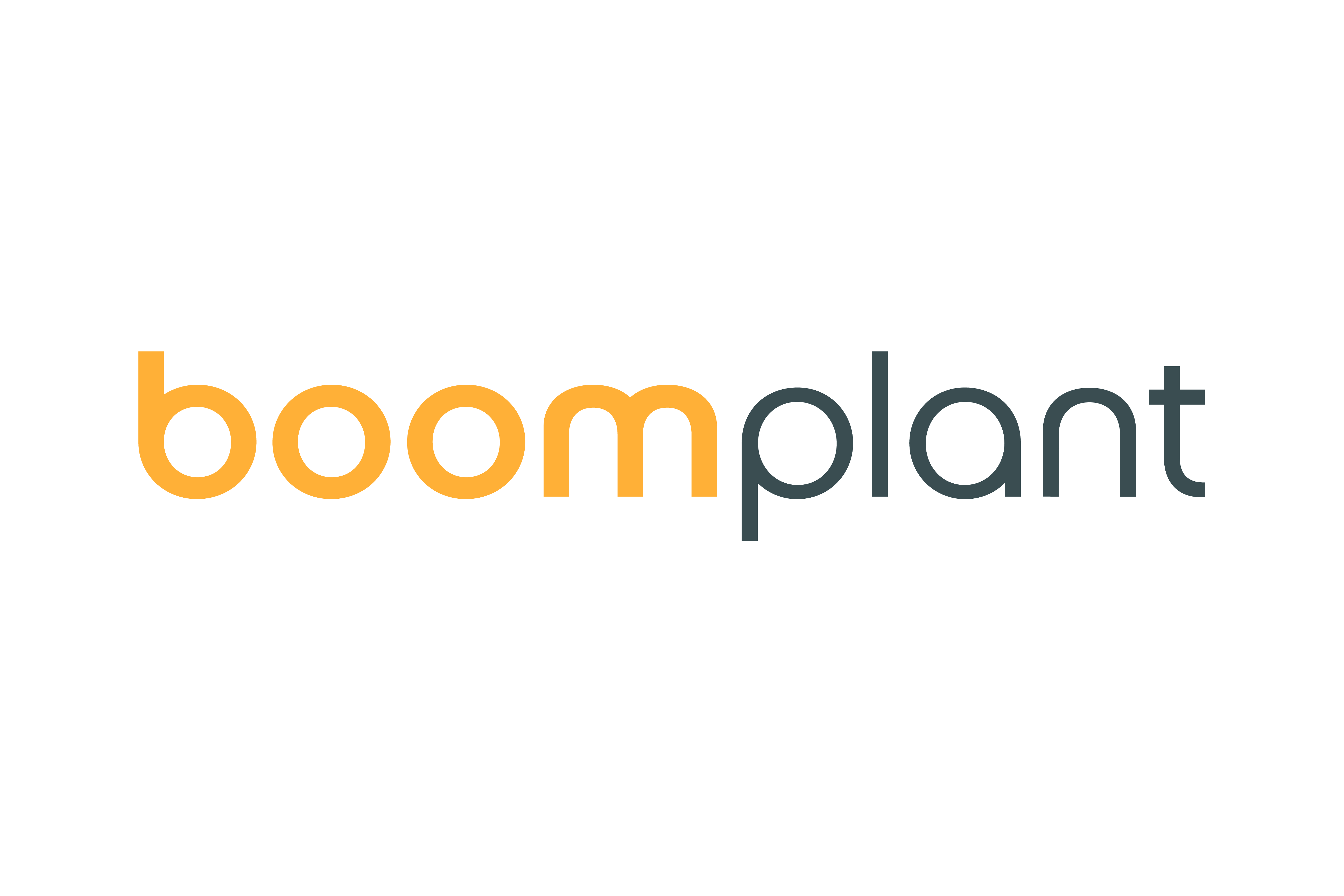 Logo for Boom Plant